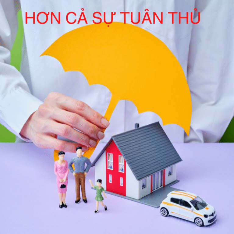 Quyền Lợi Vượt Trội Của Bảo Hiểm Bắt Buộc Ô Tô: Hơn Cả Sự Tuân Thủ