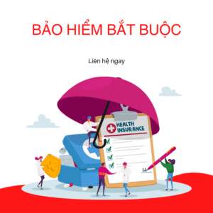 bao hiem bat buoc o to