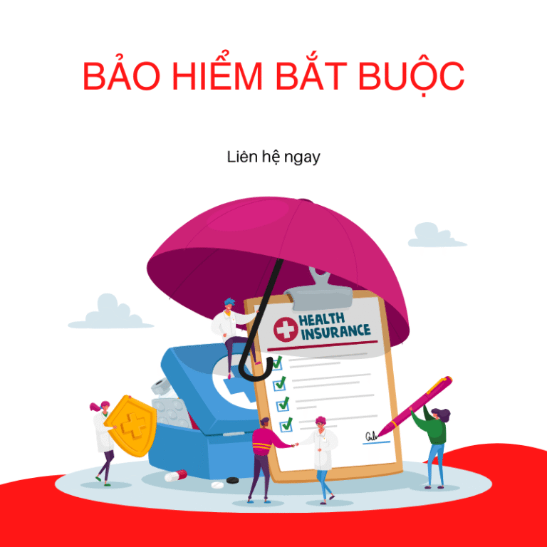 Bảo Hiểm Bắt Buộc Ô Tô: Tại Sao Mọi Chủ Xe Cần Phải Có?