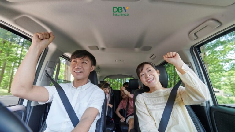 DBV-VNI Hang Khong Cu