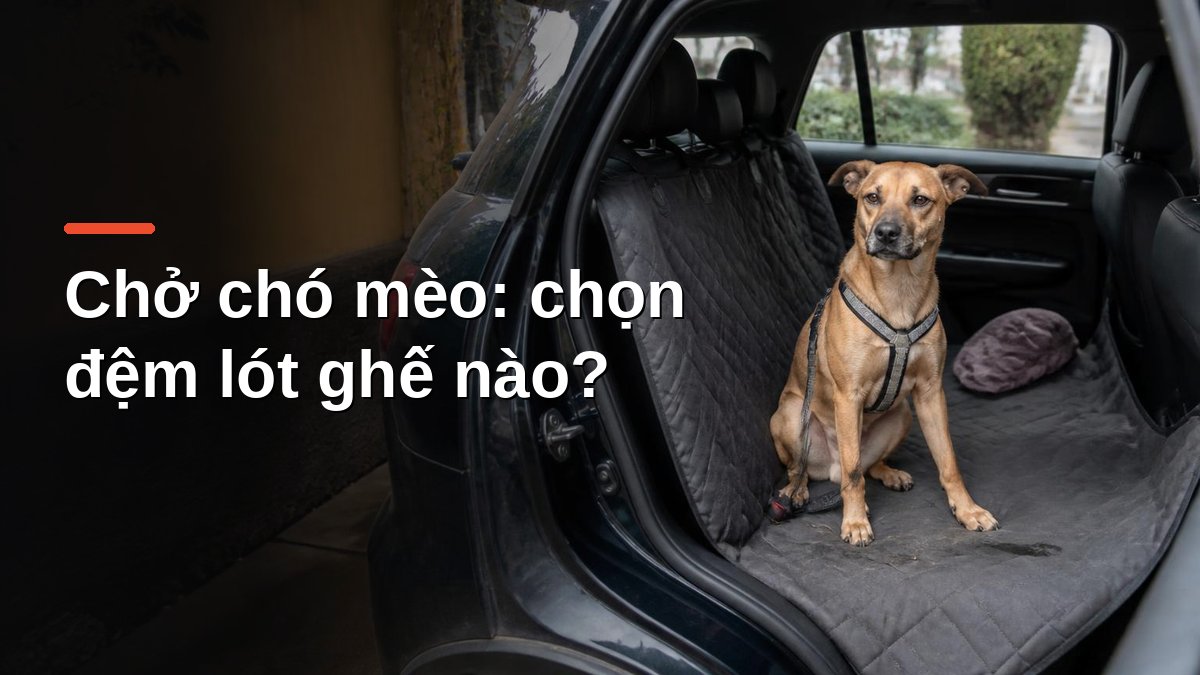 Chó ngồi trên đệm lót dạng võng chống thấm phủ ghế sau ô tô, có dây đai an toàn cho thú cưng