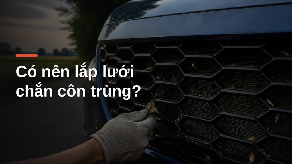 Lưới chắn côn trùng màu đen phía sau ga lăng ô tô giữ lại lá cây và côn trùng